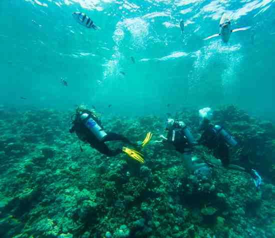 Scuba Grand Islands