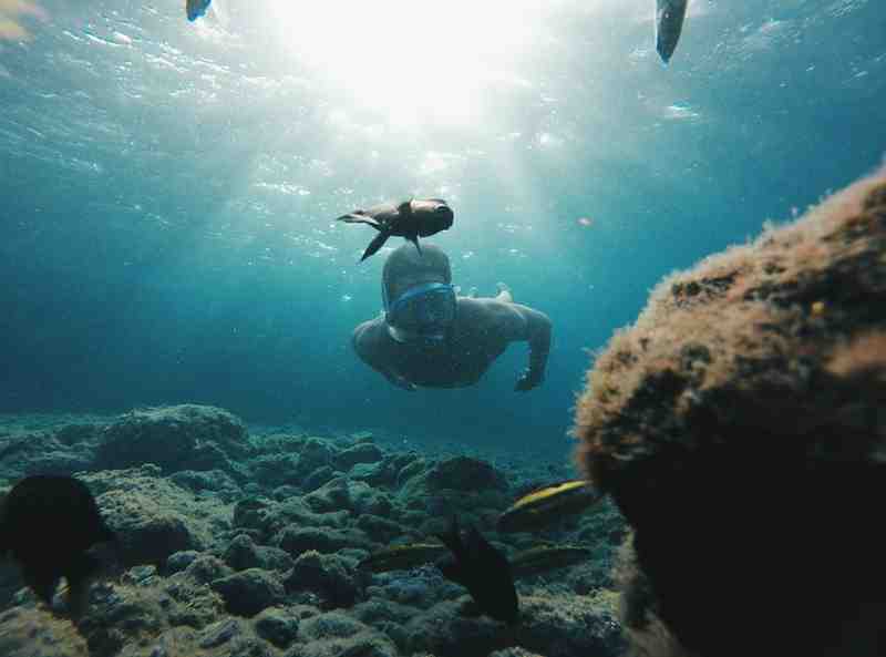Premium Scuba Diving