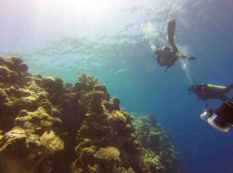 Premium Scuba North Goa